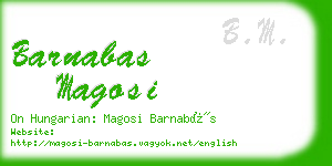 barnabas magosi business card